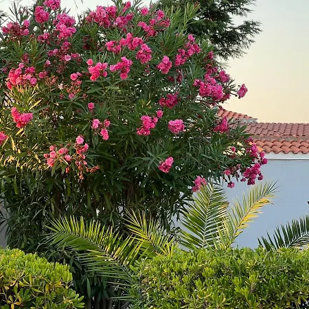 Casa Flavia Holiday home